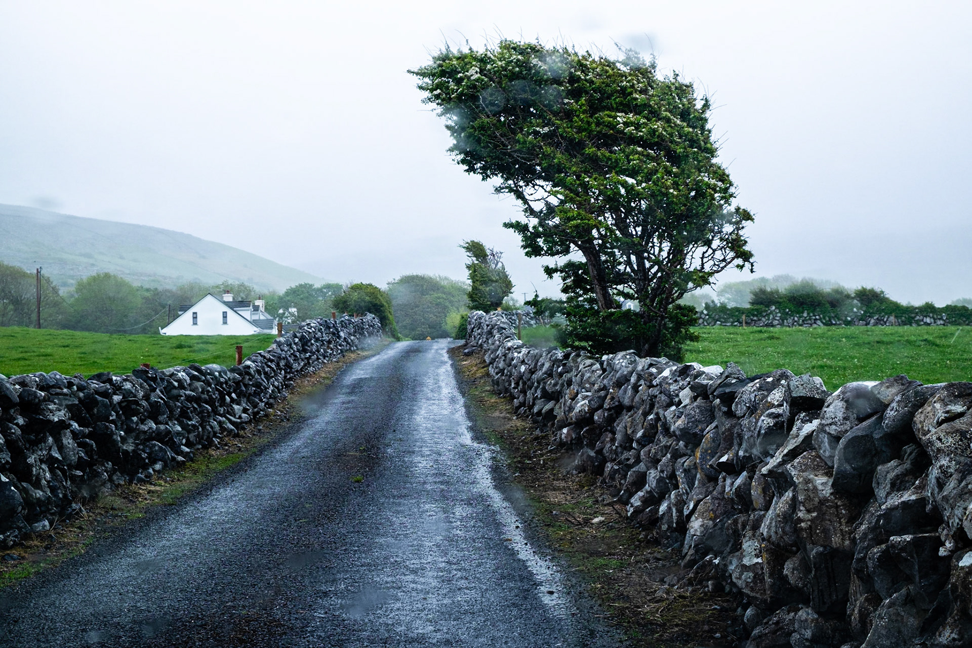Irlande