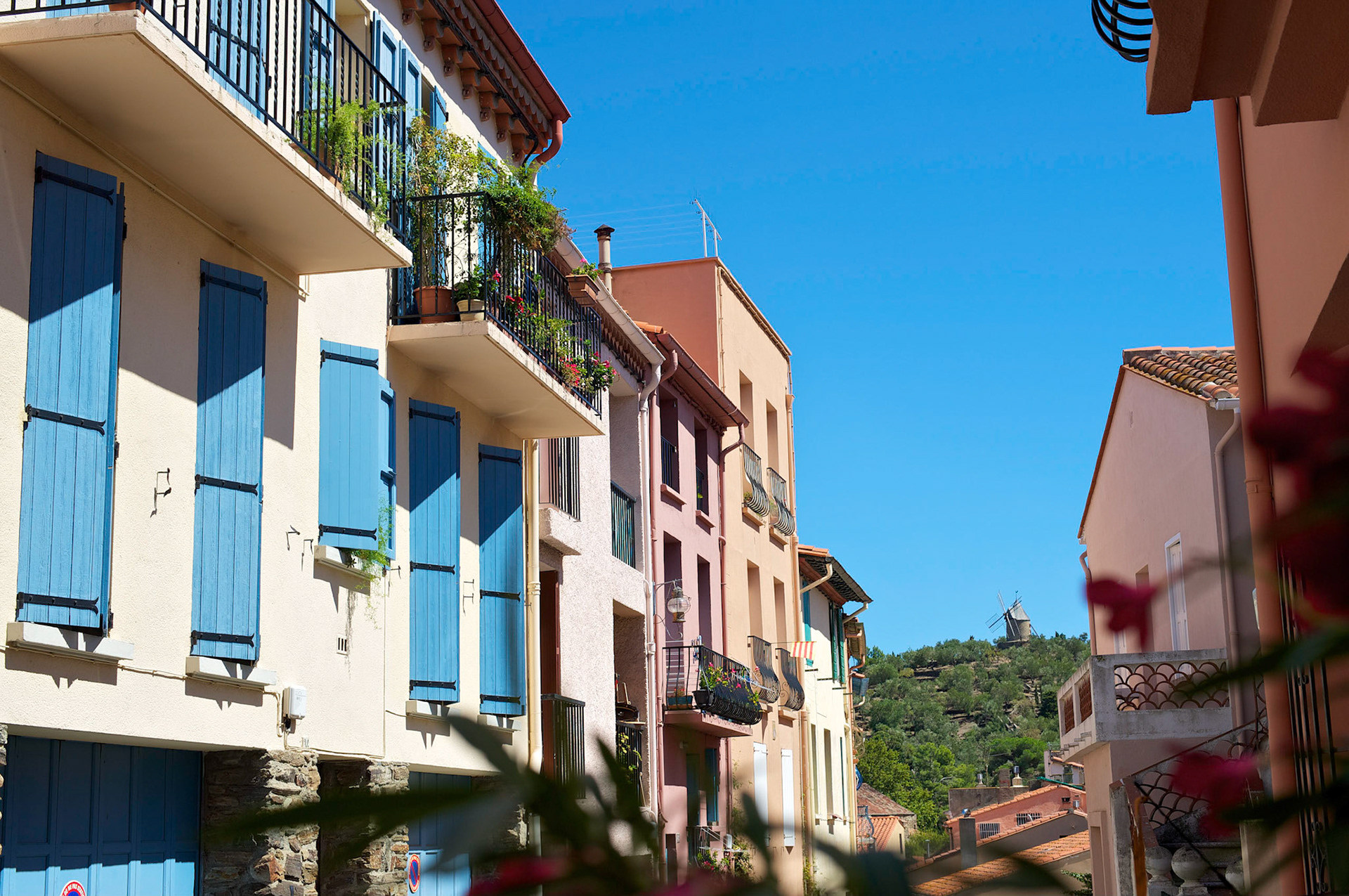 Collioure, Pyrenees Orientales, France