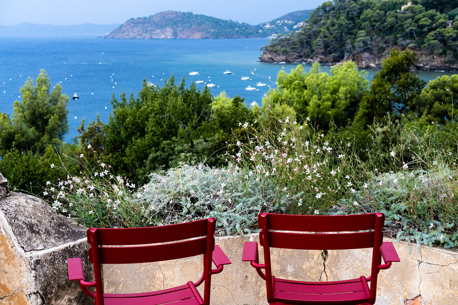 Le Jardin des Méditerranées. Domaine du Rayol, Var. France.