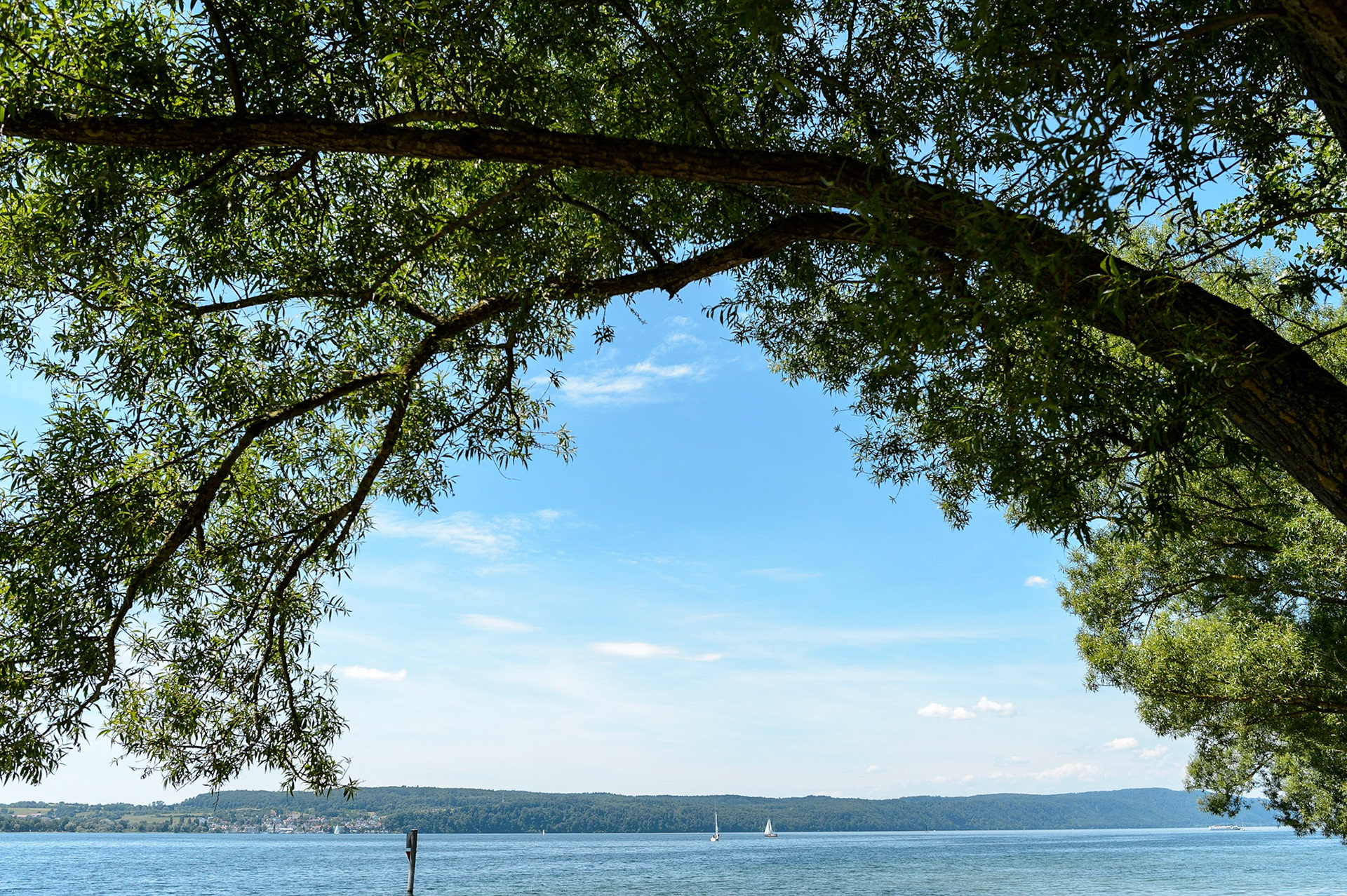 Lac de Constance, Bade-Wurtemberg, Allemagne