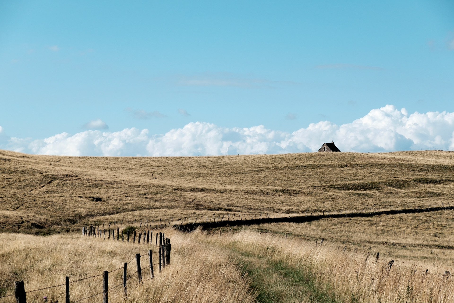 Aubrac, Auvergne,France.
