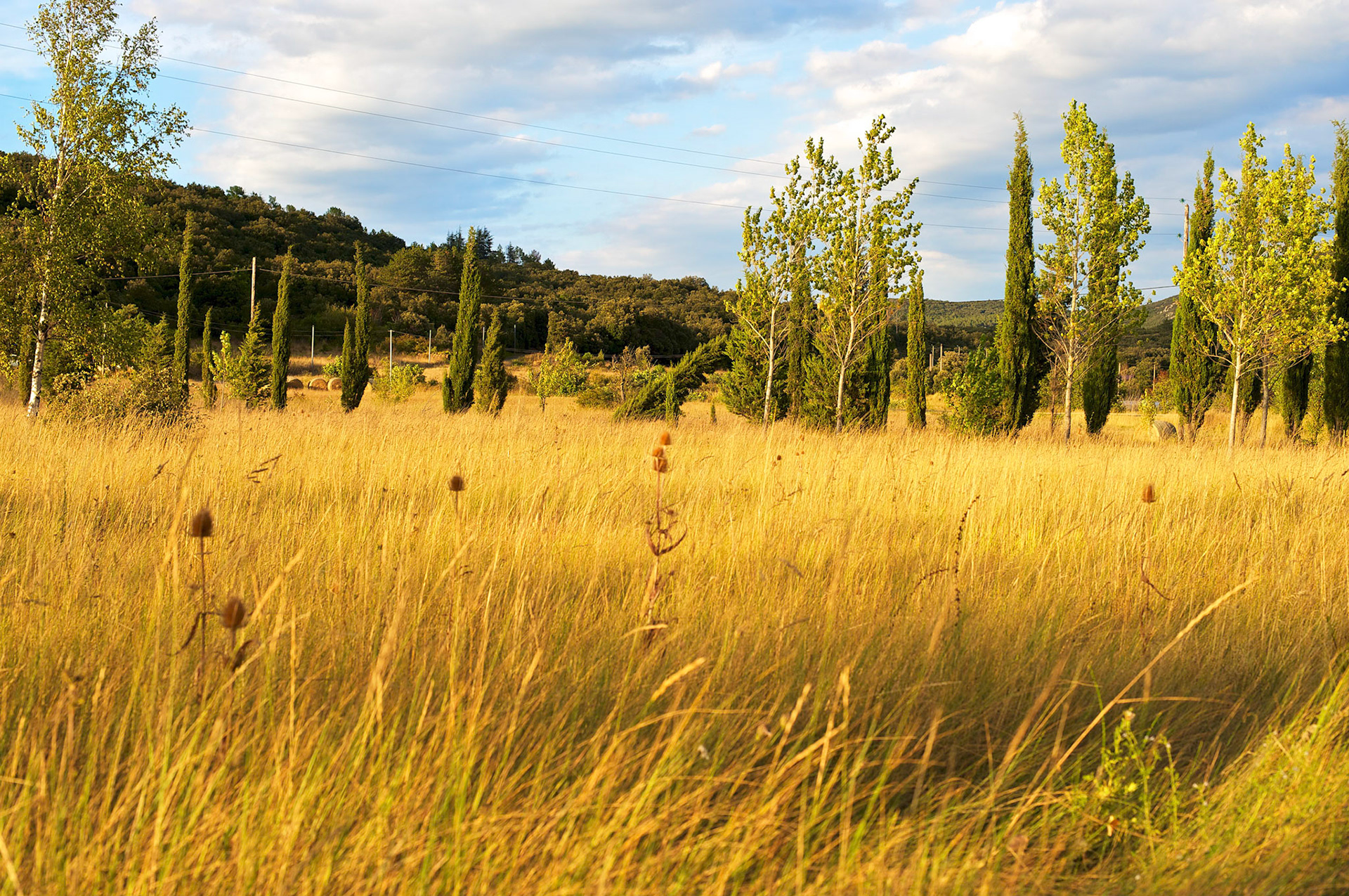 Paysages des Hautes Corbieres, Aude, France.