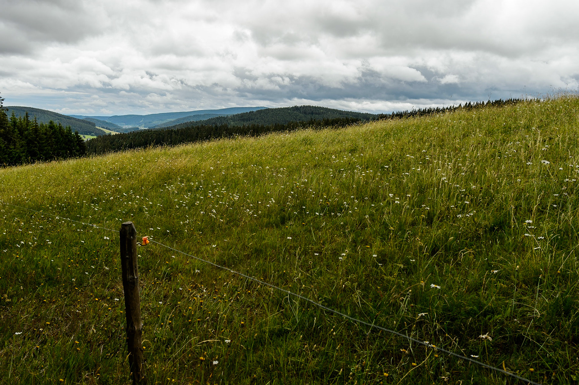 Paysages de Forêt Noire , Allemagne. Landschaften Schwarzwald, Deutschland