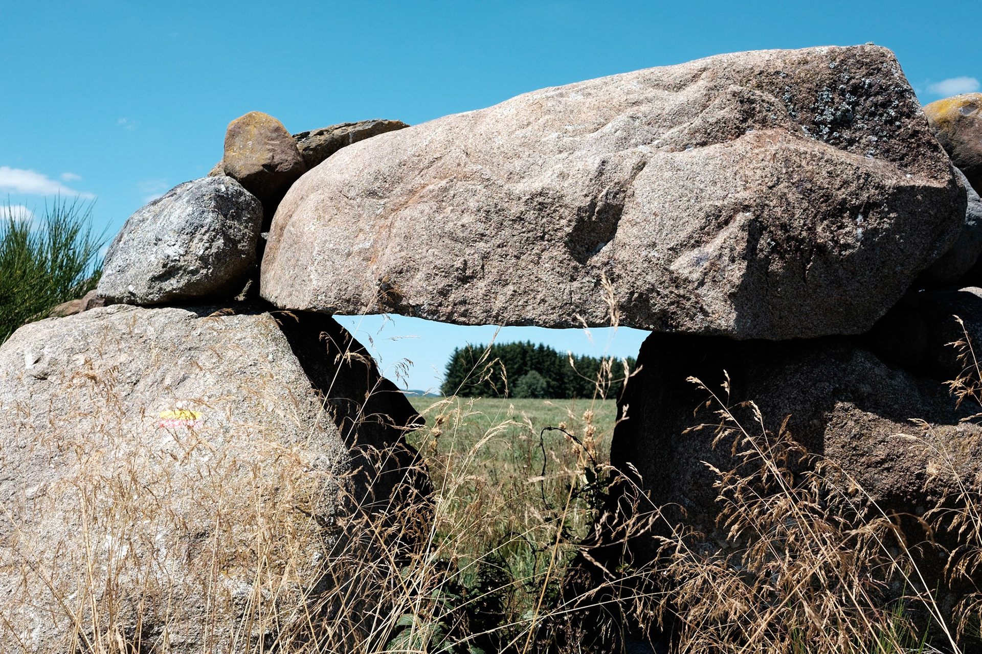 Aubrac, Auvergne,France.