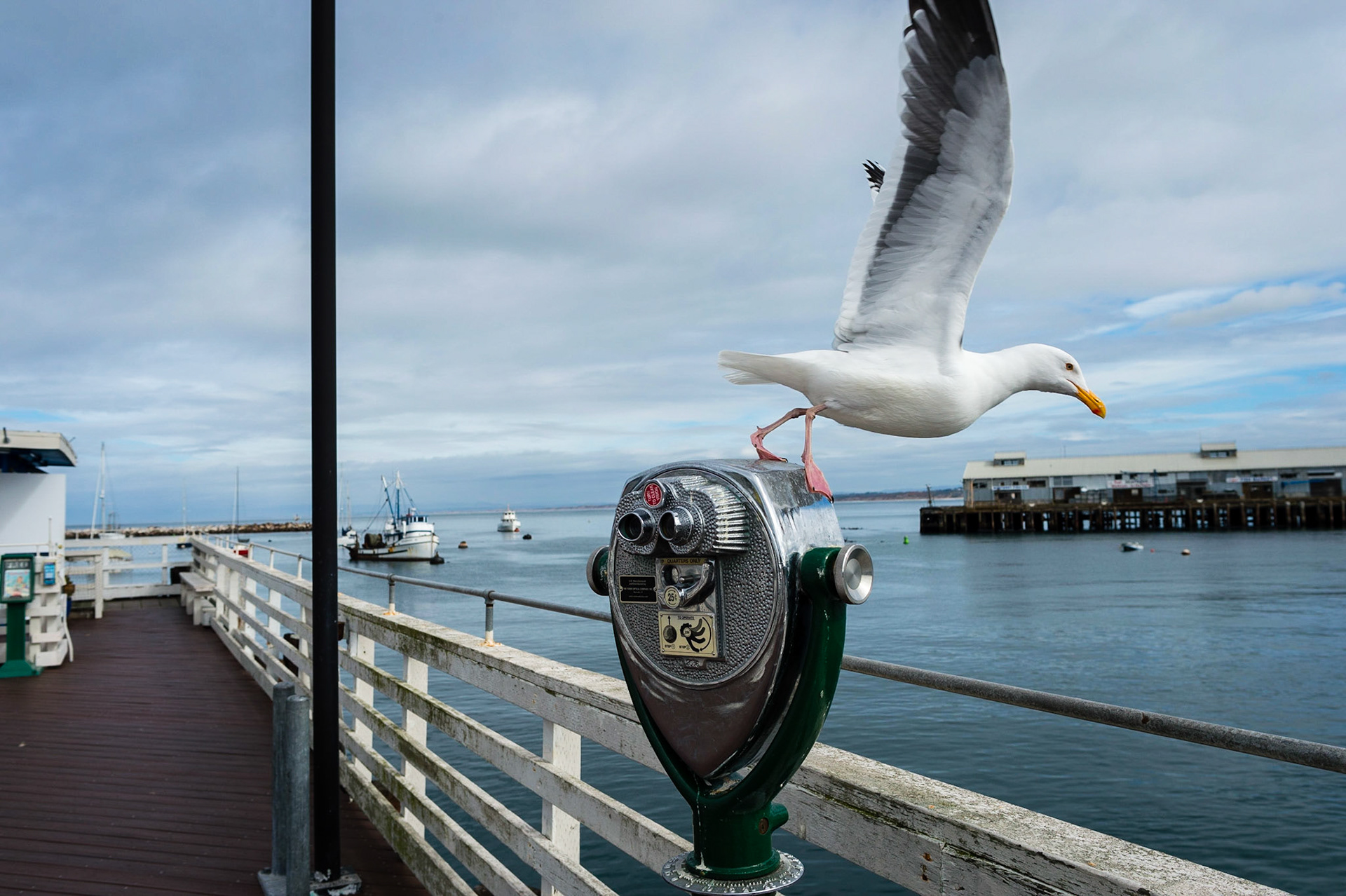 Fisherman's Wharf, Monterey, Californie, USA.
