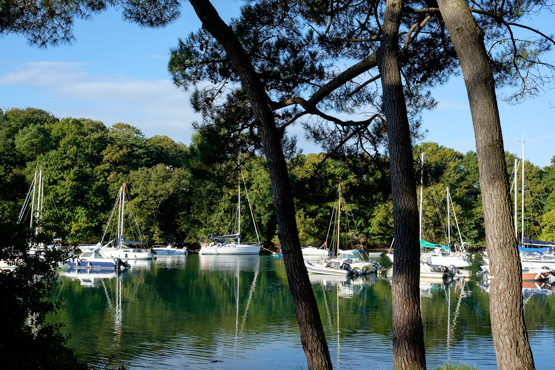 Presqu'île de Conleau. Golfe de Morbihan, Bretagne, France. / Conleau peninsula. Gulf of Morbihan, Brittany, France.