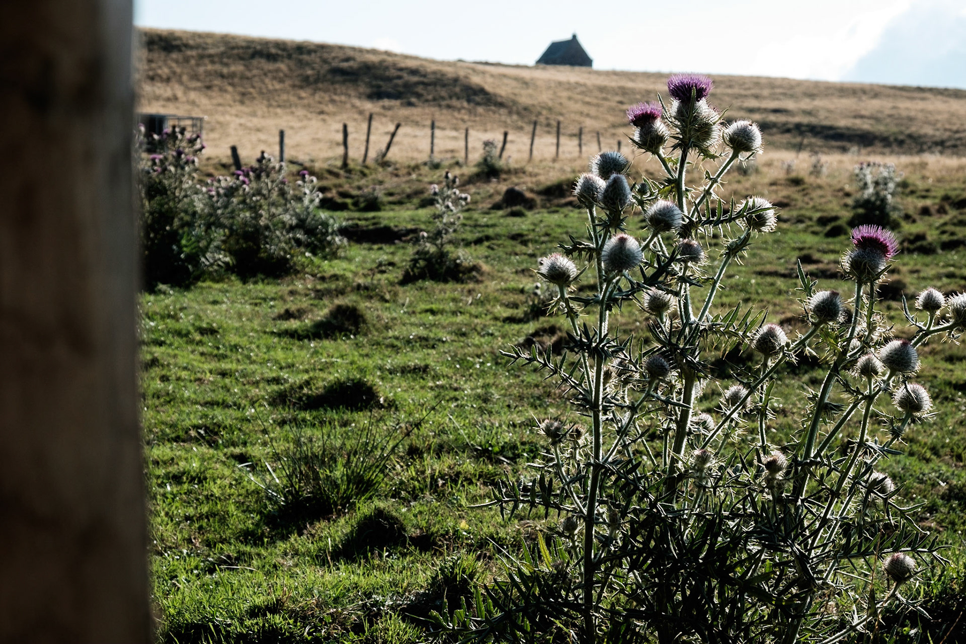 Aubrac, Auvergne,France.
