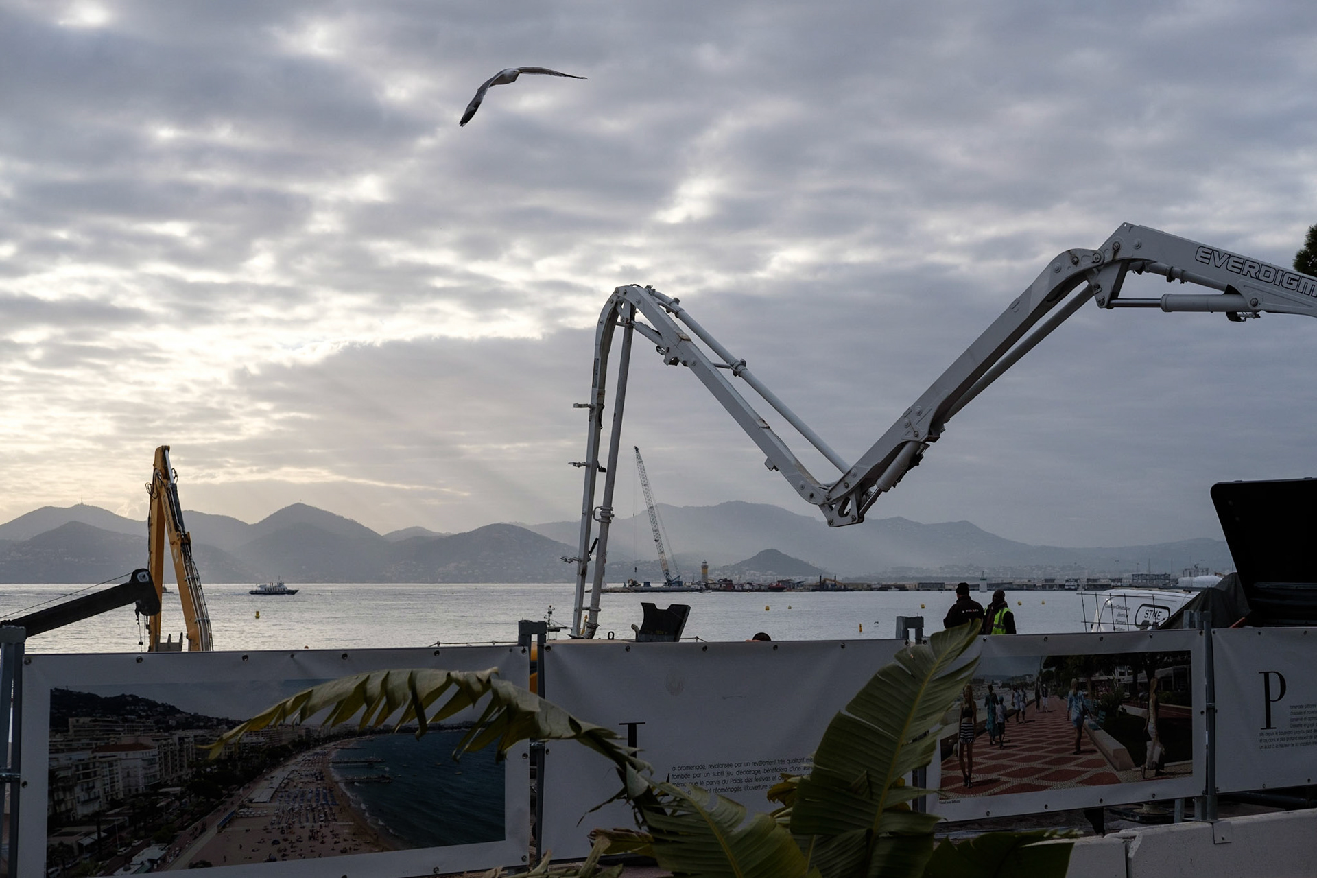 Cannes, Alpes Maritmes, France