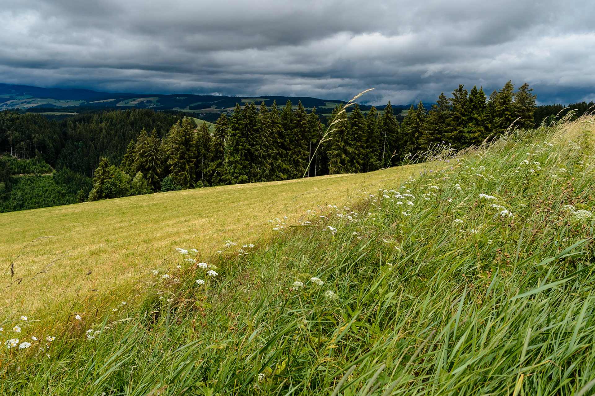 Paysages de Forêt Noire , Allemagne. Landschaften Schwarzwald, Deutschland