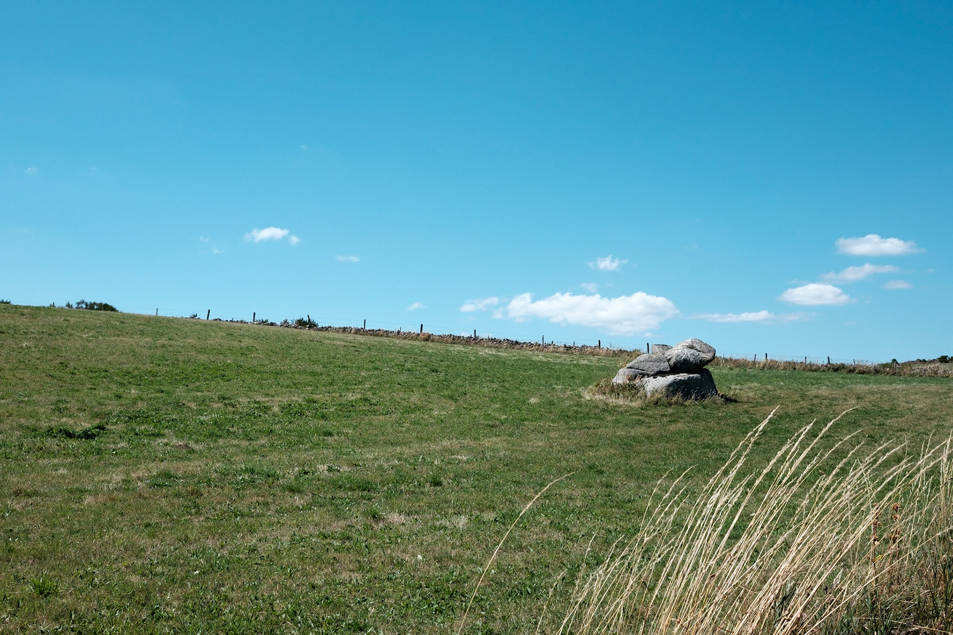 Aubrac, Auvergne,France.