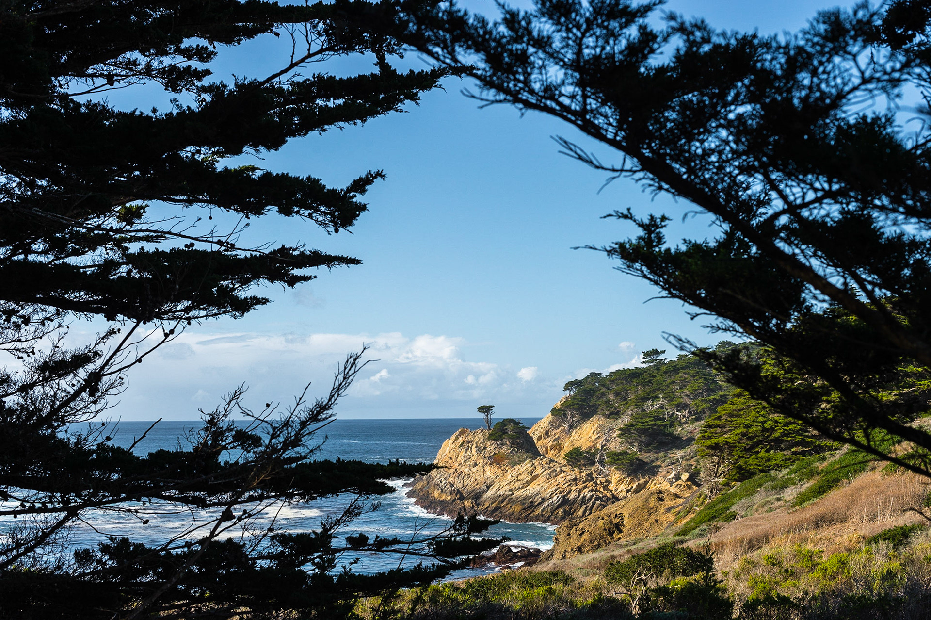 Point Lobos State Reserve, Carmel-by-the-Sea, Californie, USA.