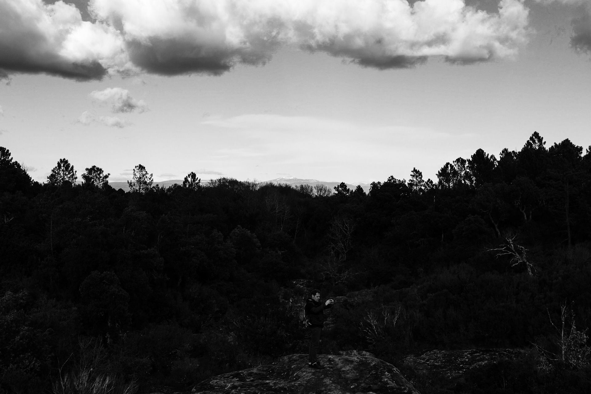 La Plaine des Maures, Var.France. Paysages en Noir et Blanc.