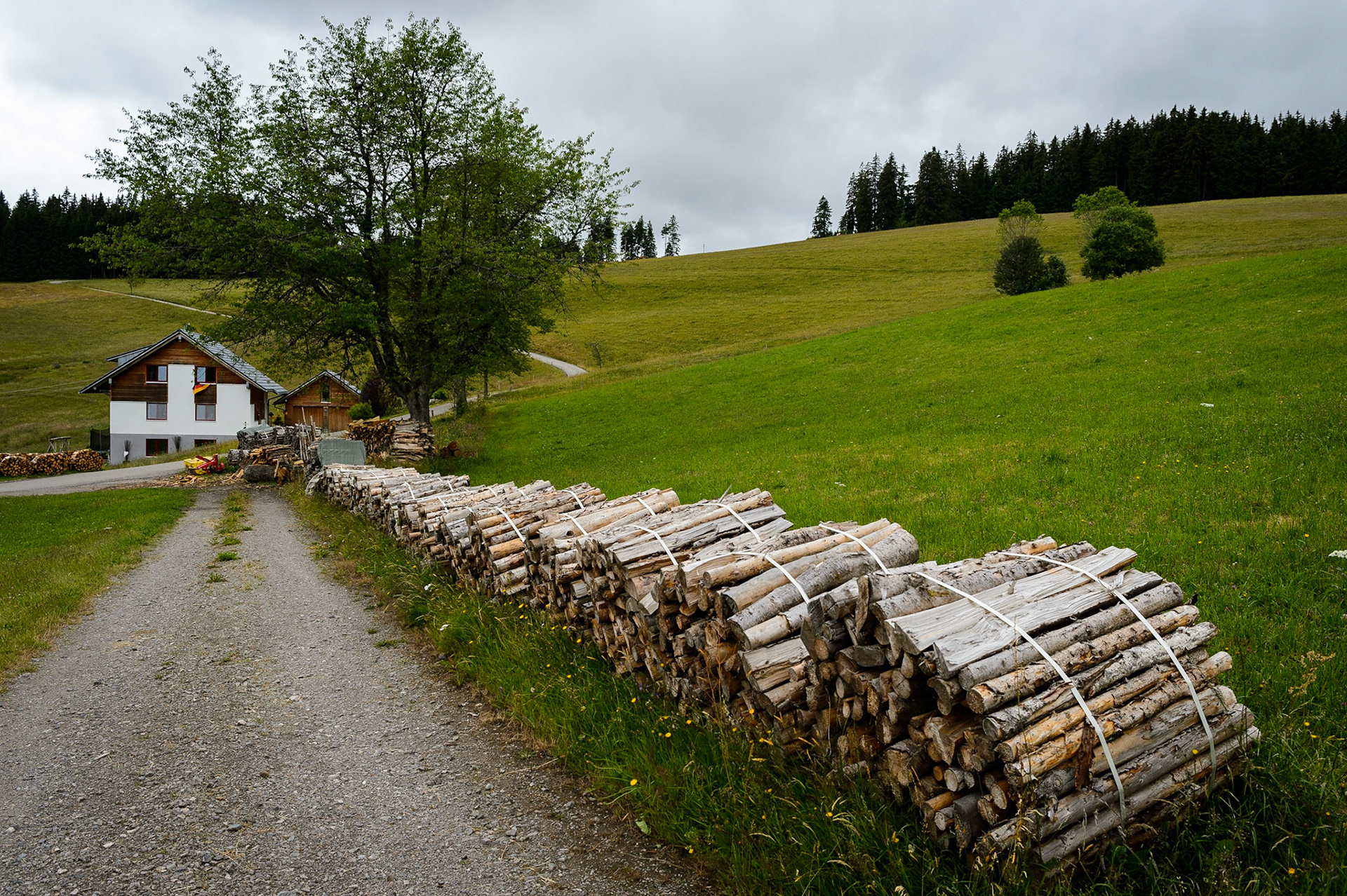 Paysages de Forêt Noire , Allemagne. Landschaften Schwarzwald, Deutschland