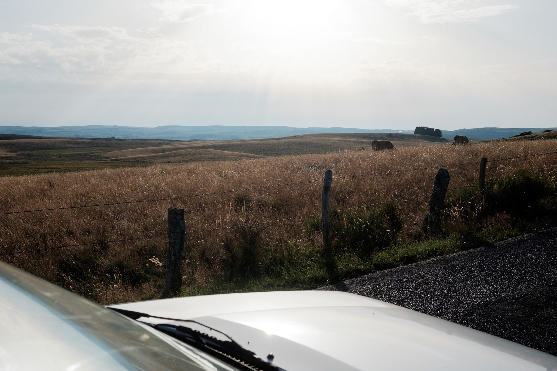 Aubrac, Auvergne,France.