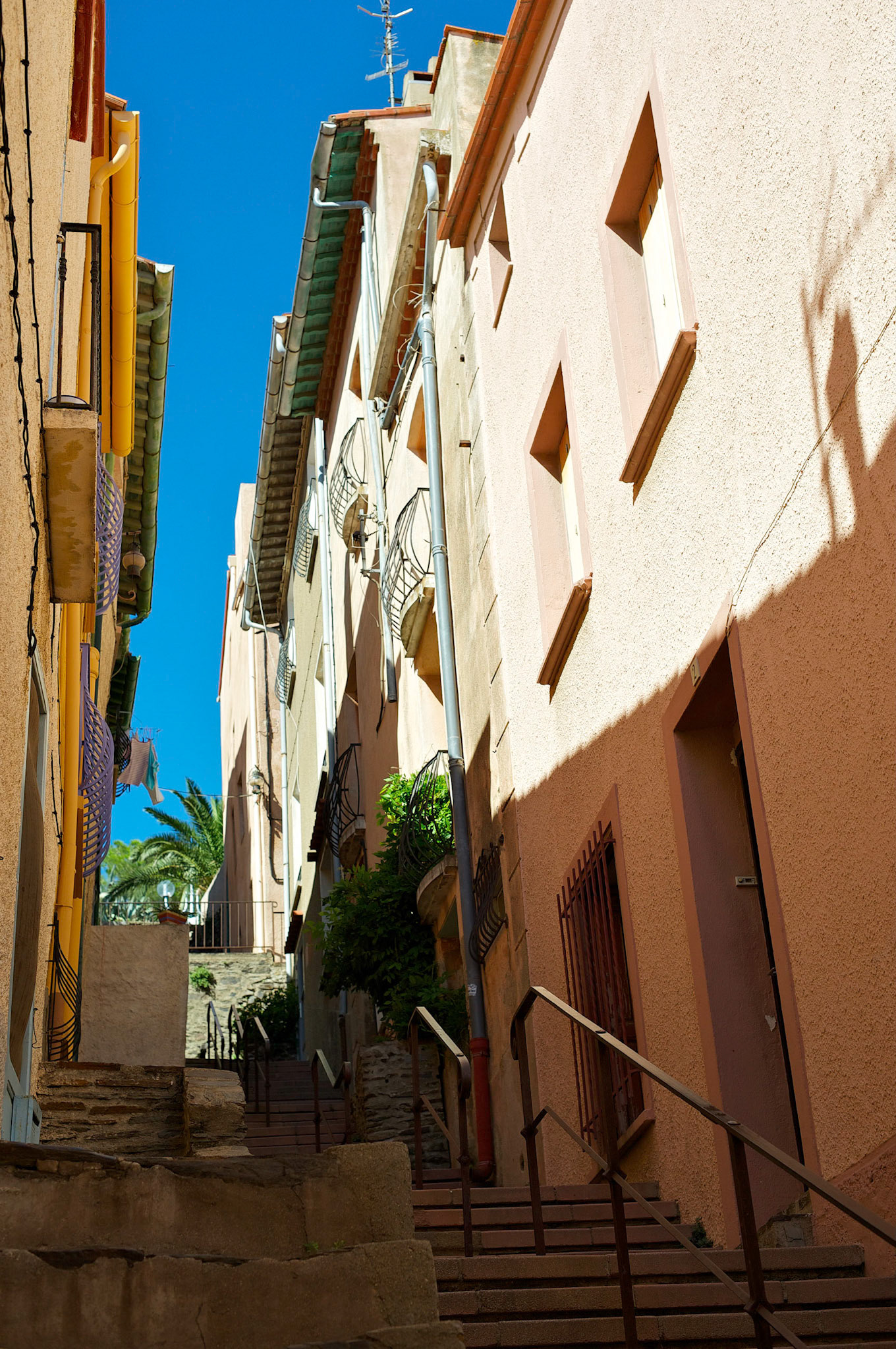 Collioure, Pyrenees Orientales, France