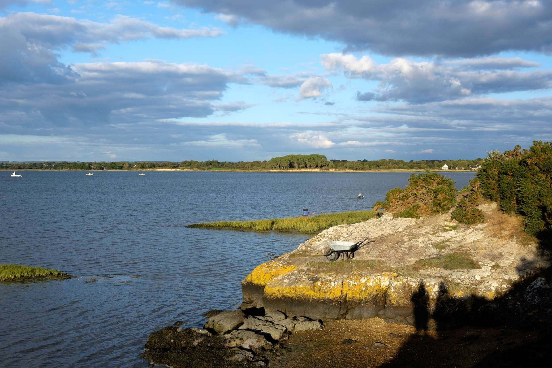 Paysage du Golfe de Morbihan, Bretagne, France. / Landscape of the Gulf of Morbihan, Brittany, France.