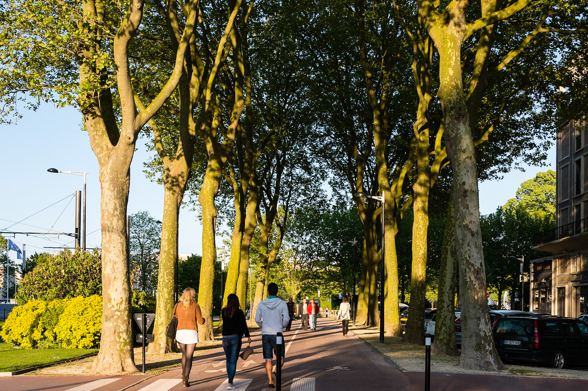 Le Havre. Avenue Foch, cette magnifique avenue comparable par ses dimensions aux Champs Elysées à Paris, relie la Place de l'Hôtel de Ville à la Porte Océane et à la plage du Havre.  Le Havre. Avenue Foch, this magnificent comparable in dimensions to the Champs Elysees avenue in Paris, links the Place de l'Hotel de Ville in the Ocean Gate and the beach of Le Havre.