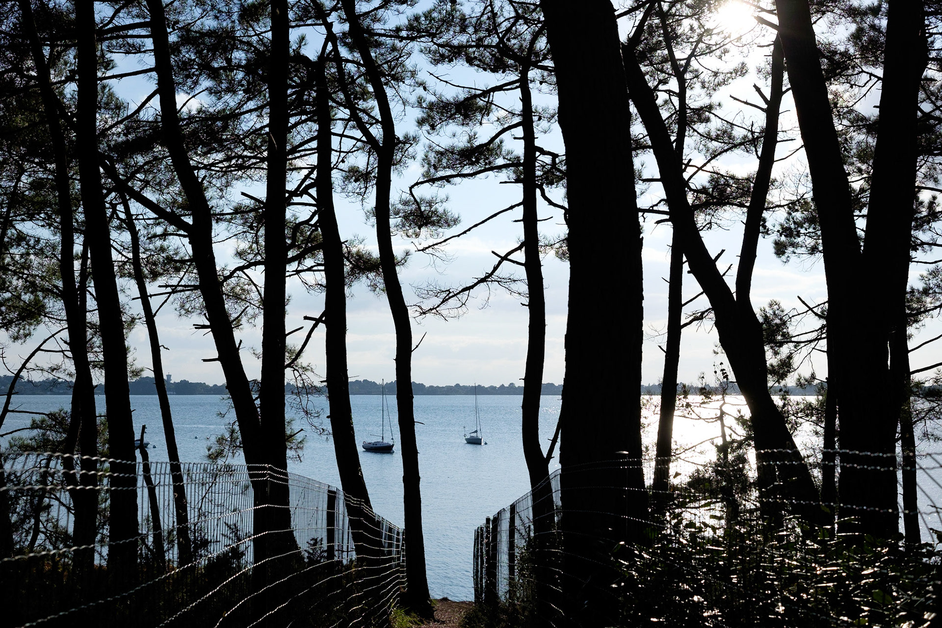 Pointe du Blair. Paysage du Golfe de Morbihan, Bretagne, France. / Pointe du Blair. Landscape of the Gulf of Morbihan, Brittany, France.