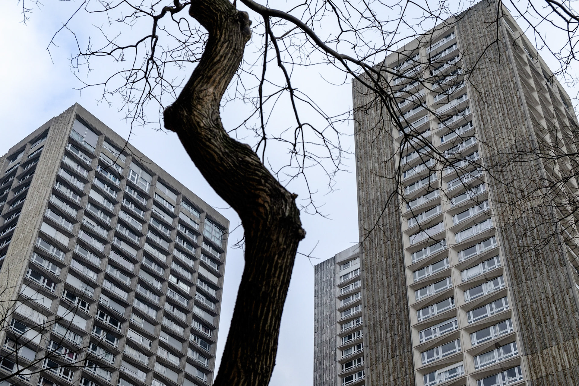 La Dalle Tolbiac, 13 ème arrondissement, Paris. Un arbre entre deux immeubles. / The Dalle Tolbiac 13th arrondissement, Paris. A tree between two buildings.