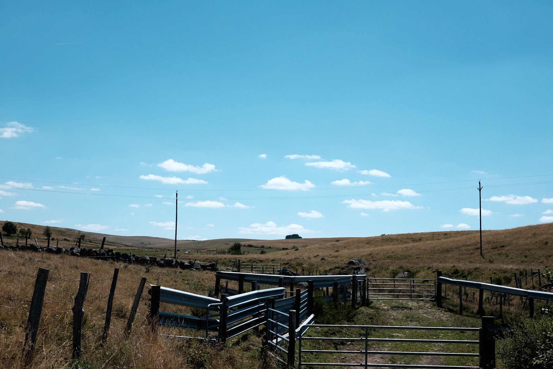 Aubrac, Cantal, Aubergne, France.