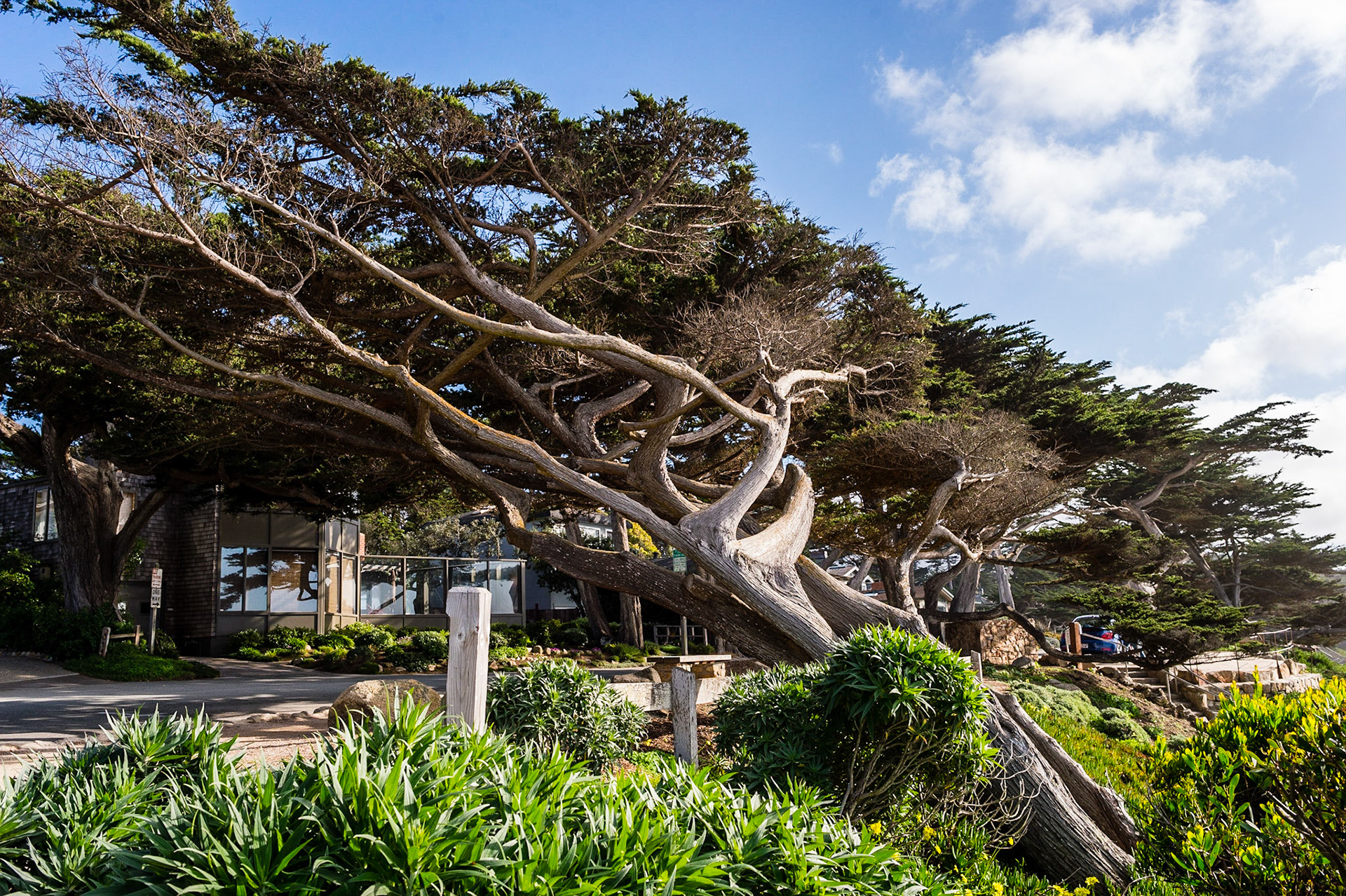 Carmel-by-the-Sea, Californie, USA.