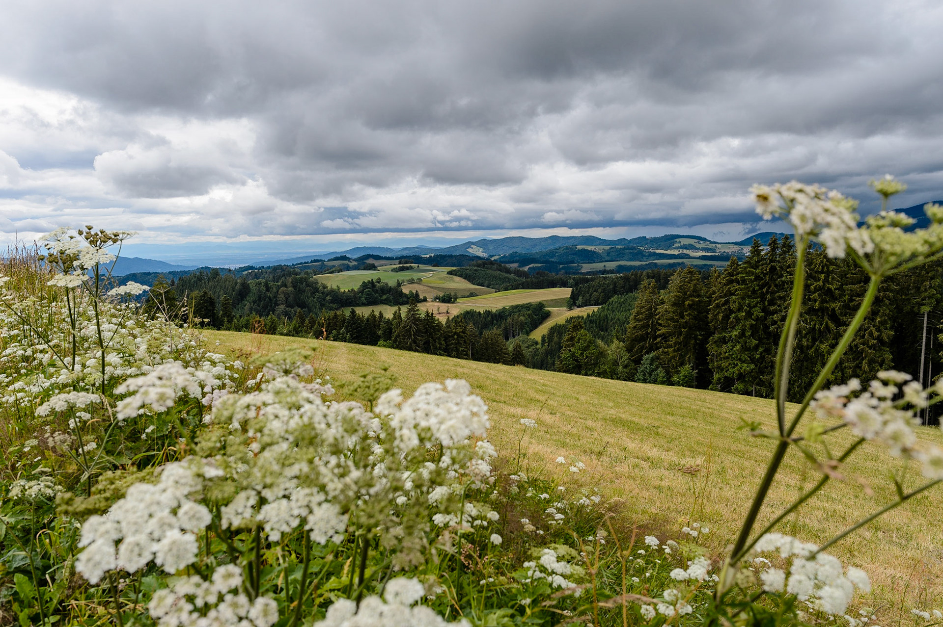 Paysages de Forêt Noire , Allemagne. Landschaften Schwarzwald, Deutschland