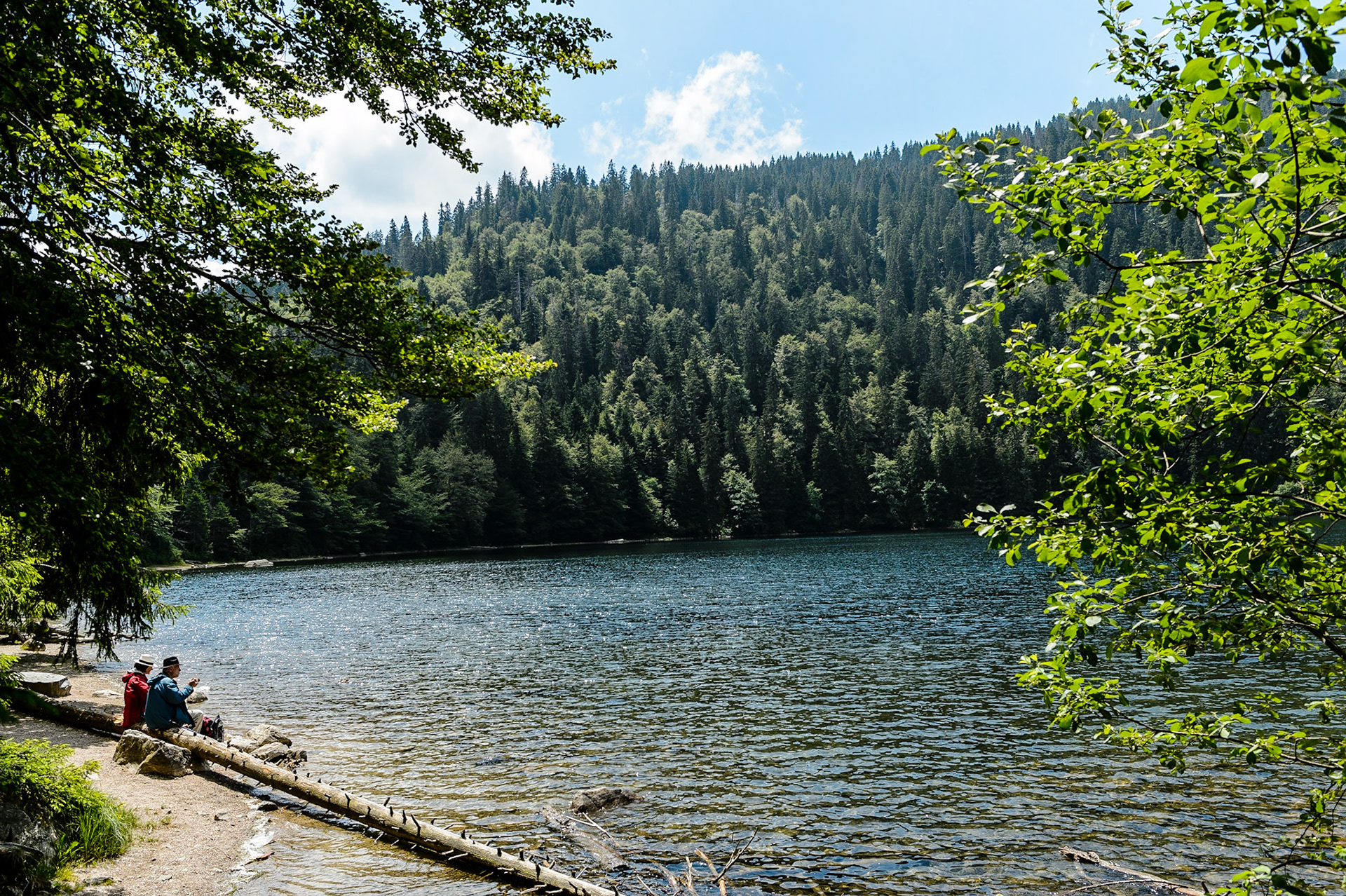 Paysages de Forêt Noire , Allemagne. Landschaften Schwarzwald, Deutschland