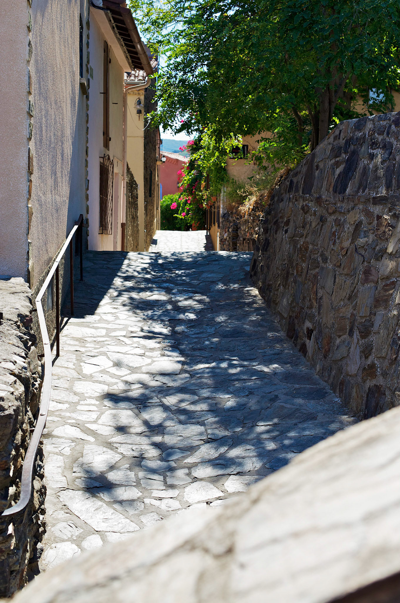 Collioure, Pyrenees Orientales, France