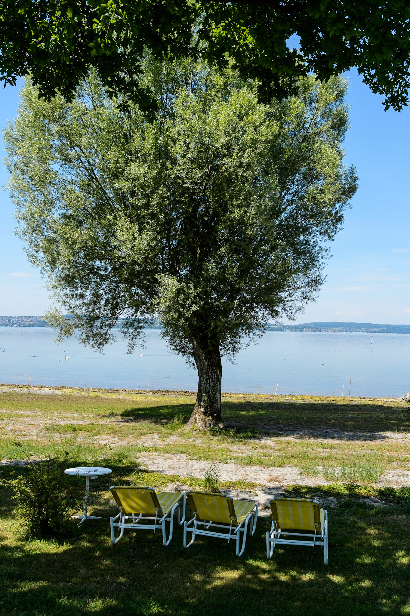 Seefelden am Bodensee. Lac de Constance, Bade-Wurtemberg, Allemagne.