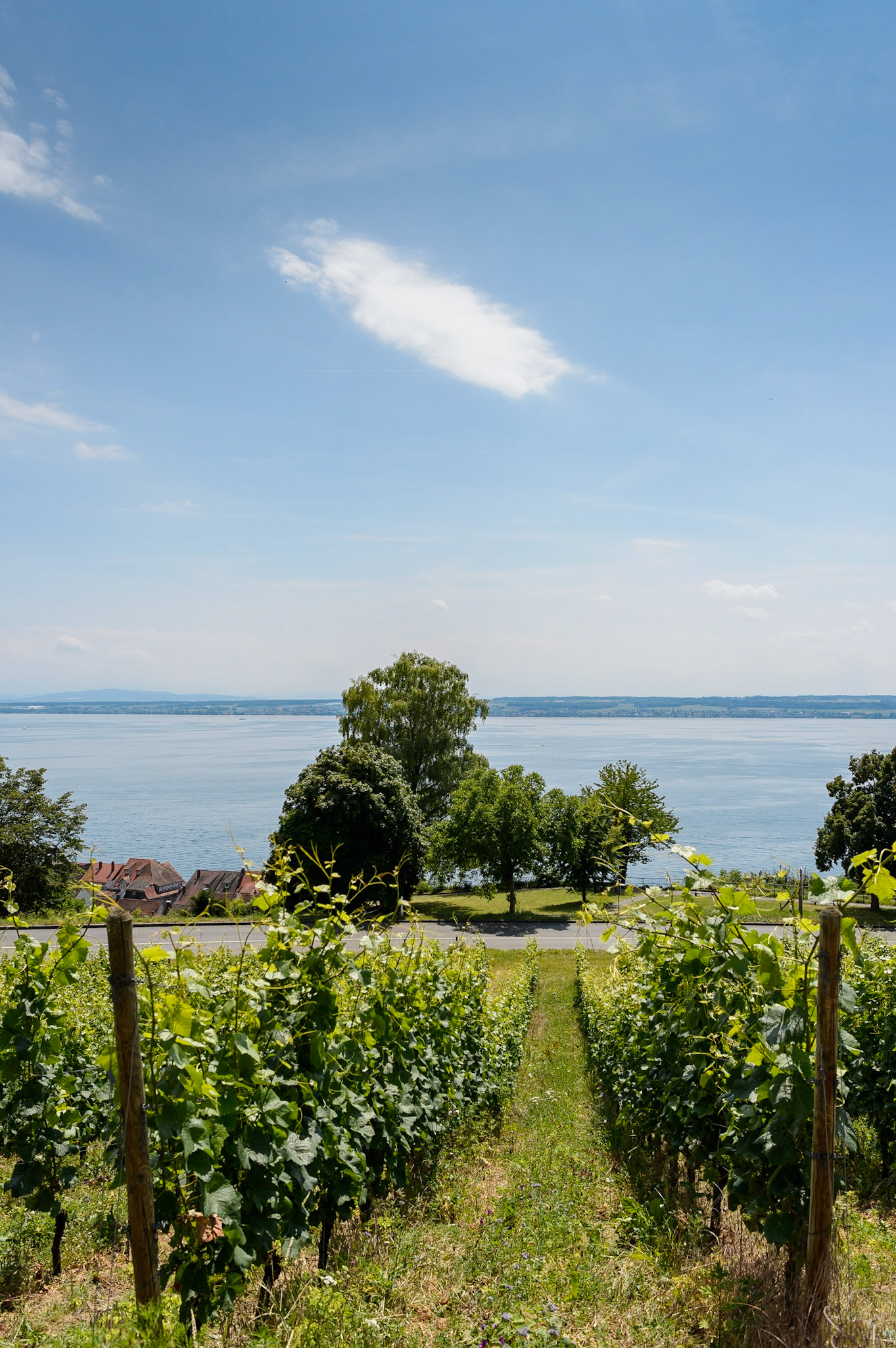 Meersburg petite ville médiévale située au bord du lac de Constance, Bade-Wurtemberg, Allemagne. / Medieval town Meersburg on Lake Constance, Bade-Wurtemberg, Germany