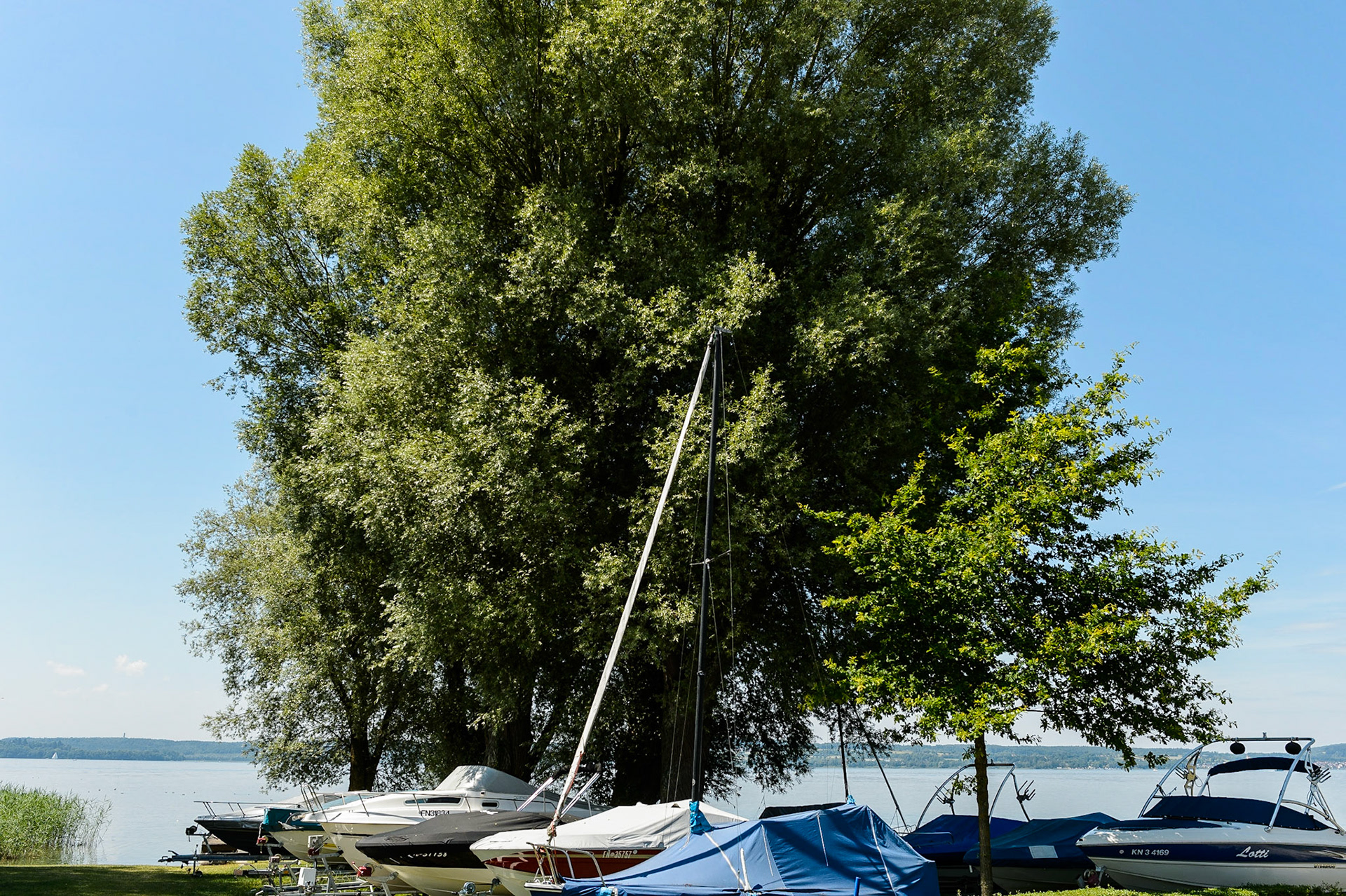 Lac de Constance, Bade-Wurtemberg, Allemagne