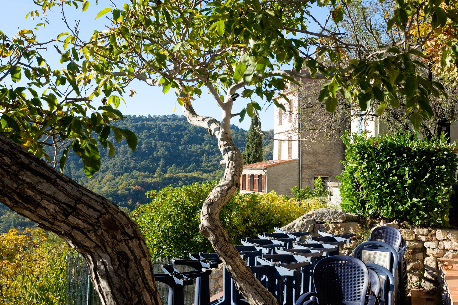 Châteaudouble, Haut Var, Provence, France.