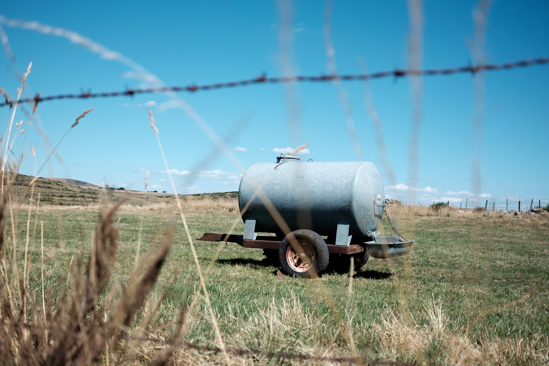 Aubrac, Cantal, Aubergne, France.