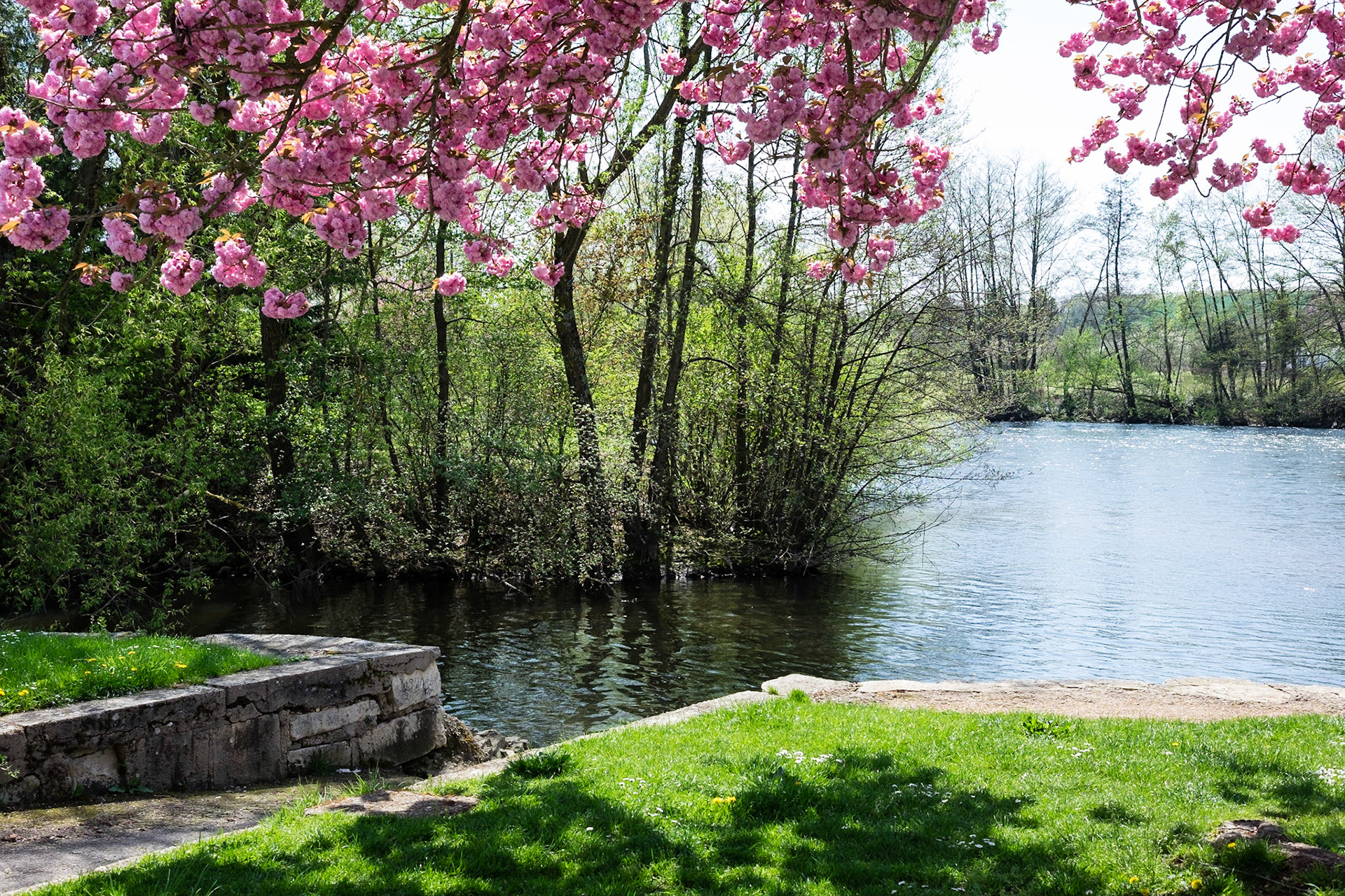L'Yonne à Champs sur Yonne, Bourgogne, France