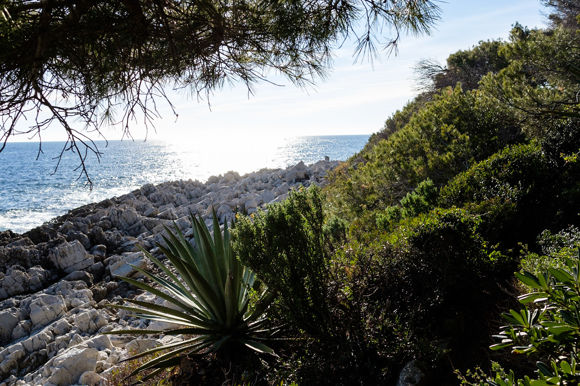 Cap d'Antibes,France