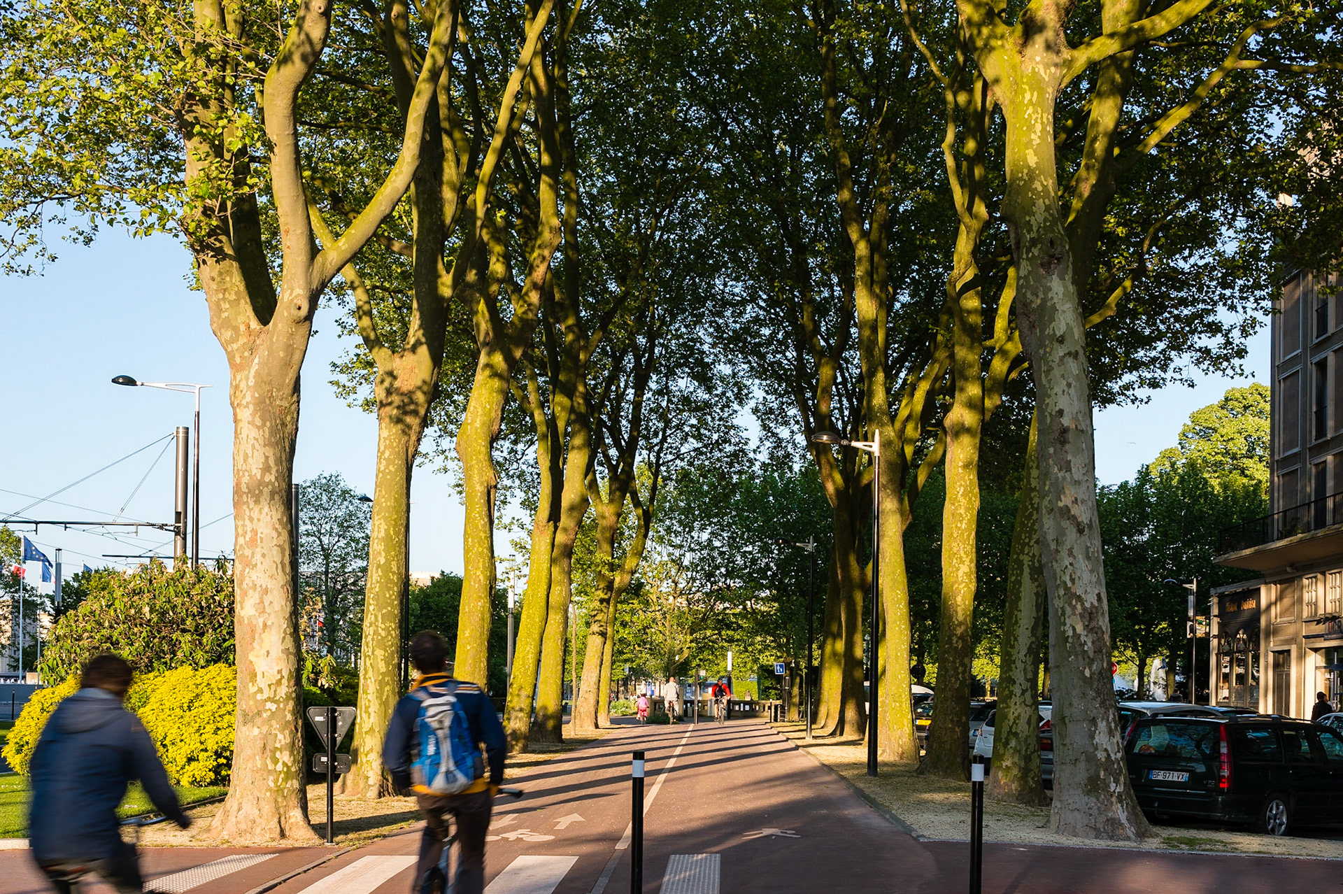 Le Havre. Avenue Foch, cette magnifique avenue comparable par ses dimensions aux Champs Elysées à Paris, relie la Place de l'Hôtel de Ville à la Porte Océane et à la plage du Havre.  Le Havre. Avenue Foch, this magnificent comparable in dimensions to the Champs Elysees avenue in Paris, links the Place de l'Hotel de Ville in the Ocean Gate and the beach of Le Havre.