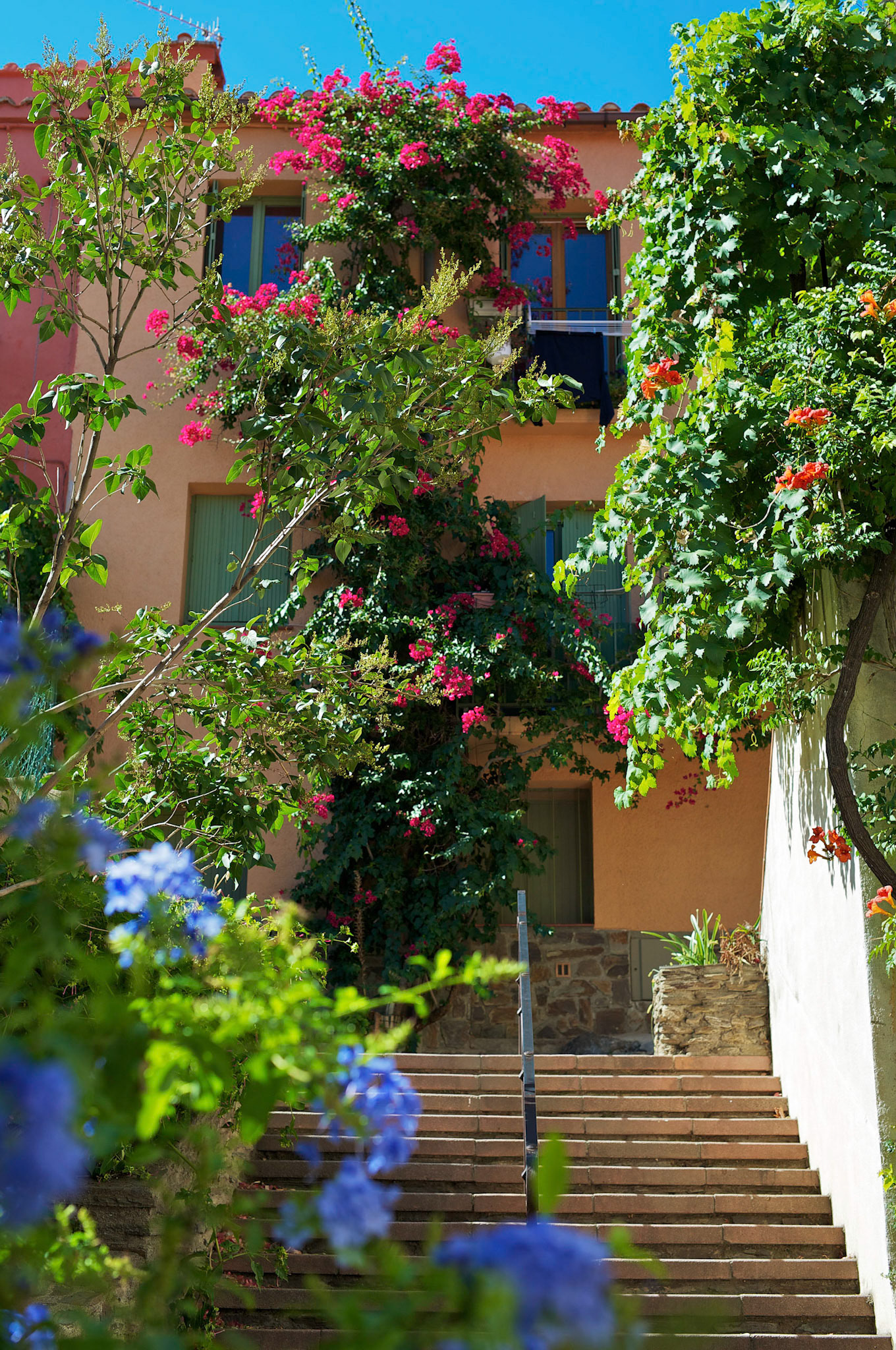 Collioure, Pyrenees Orientales, France