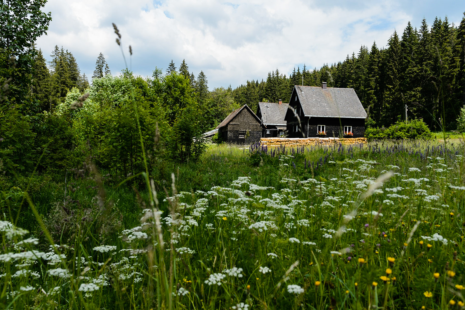 Paysages de Forêt Noire , Allemagne. Landschaften Schwarzwald, Deutschland