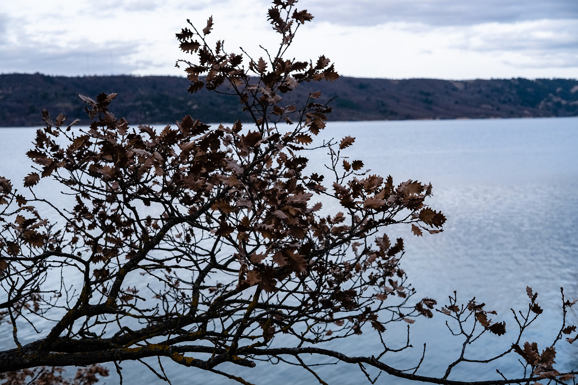 Le Lac de Sainte Croix en hiver près de Bauduen, Var, France