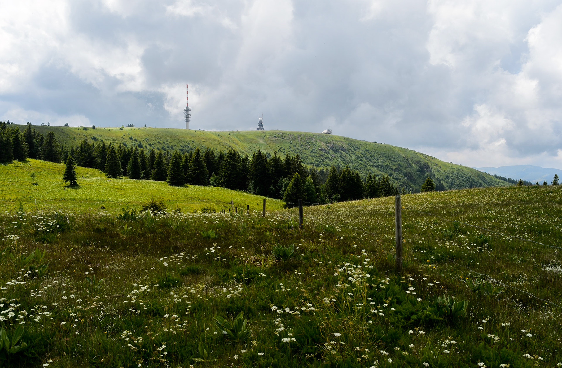 Paysages de Forêt Noire , Allemagne. Landschaften Schwarzwald, Deutschland