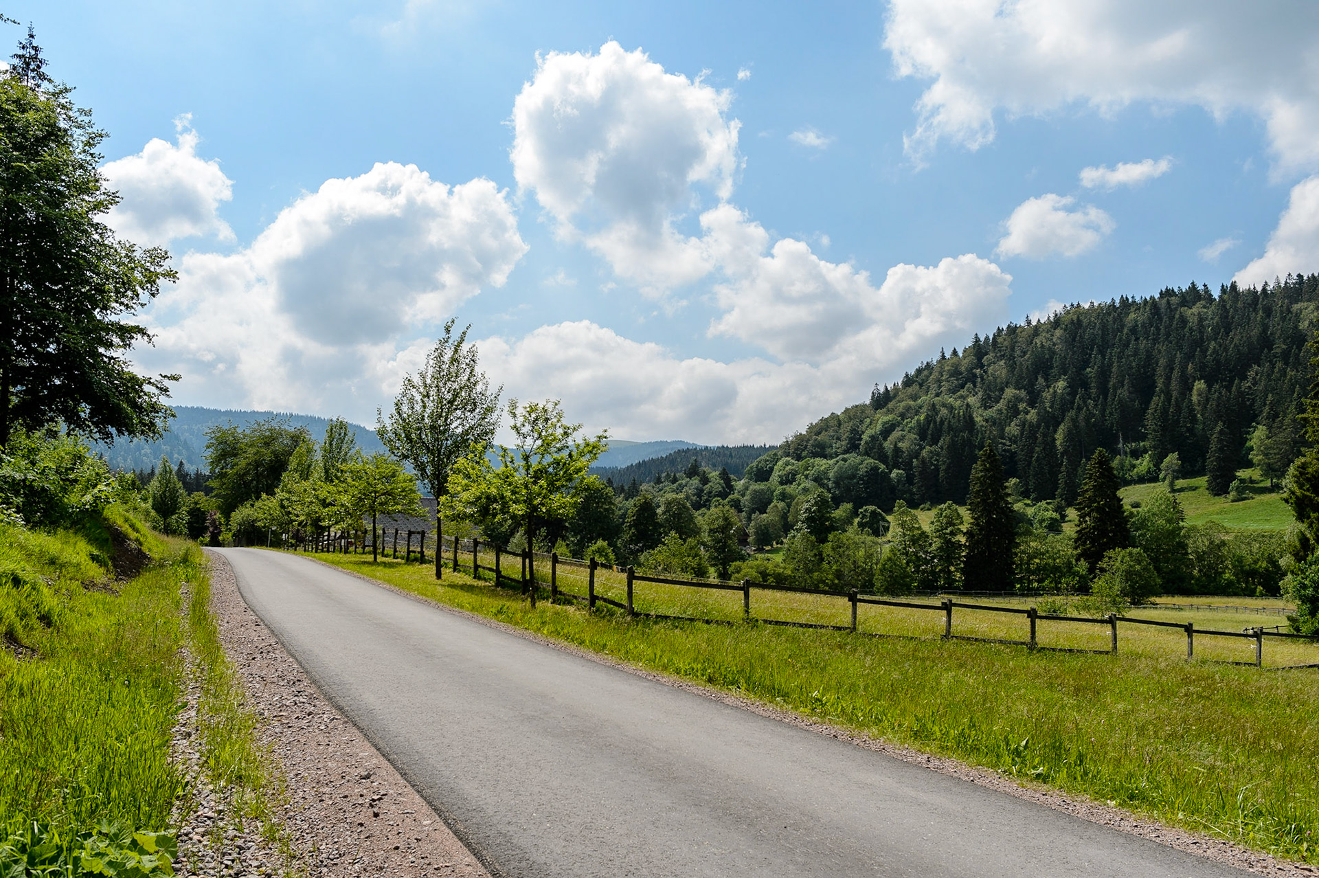 Paysages de Forêt Noire , Allemagne. Landschaften Schwarzwald, Deutschland