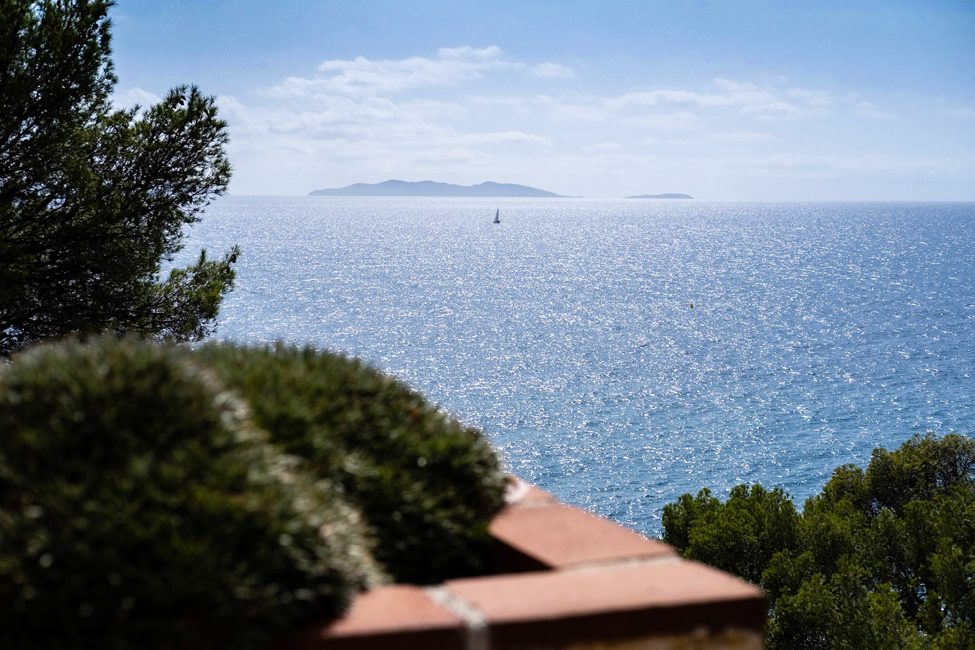 Le Jardin des Méditerranées. Domaine du Rayol, Var. France.