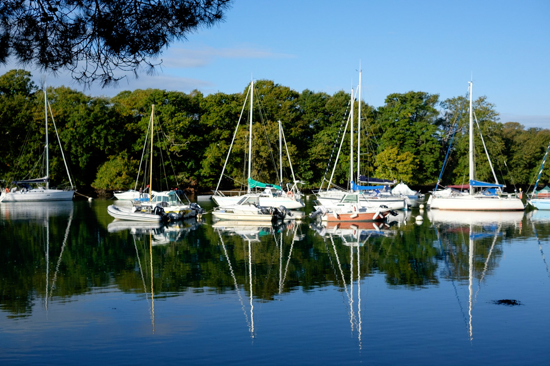 Presqu'île de Conleau. Golfe de Morbihan, Bretagne, France. / Conleau peninsula. Gulf of Morbihan, Brittany, France.