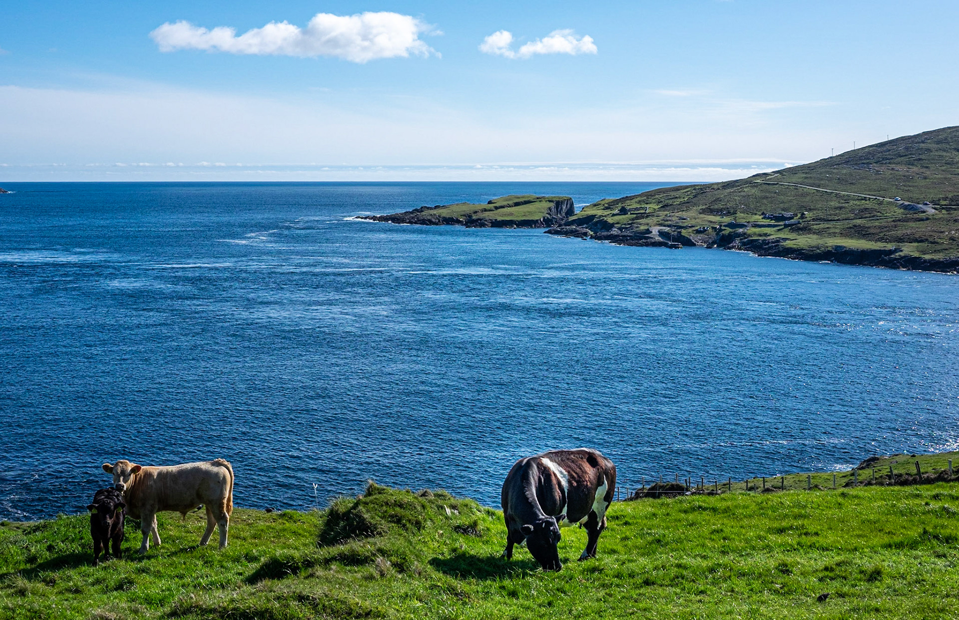 Windy Point, Irlande