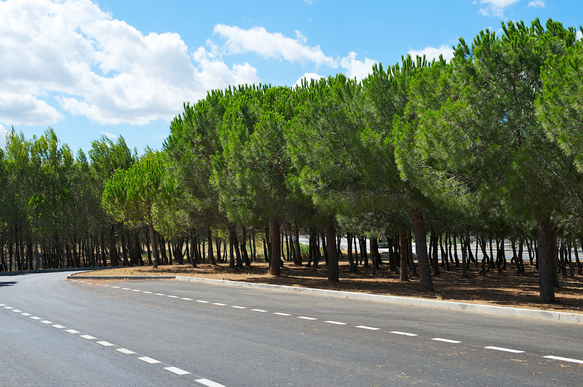 Parking d'autoroute. France.
