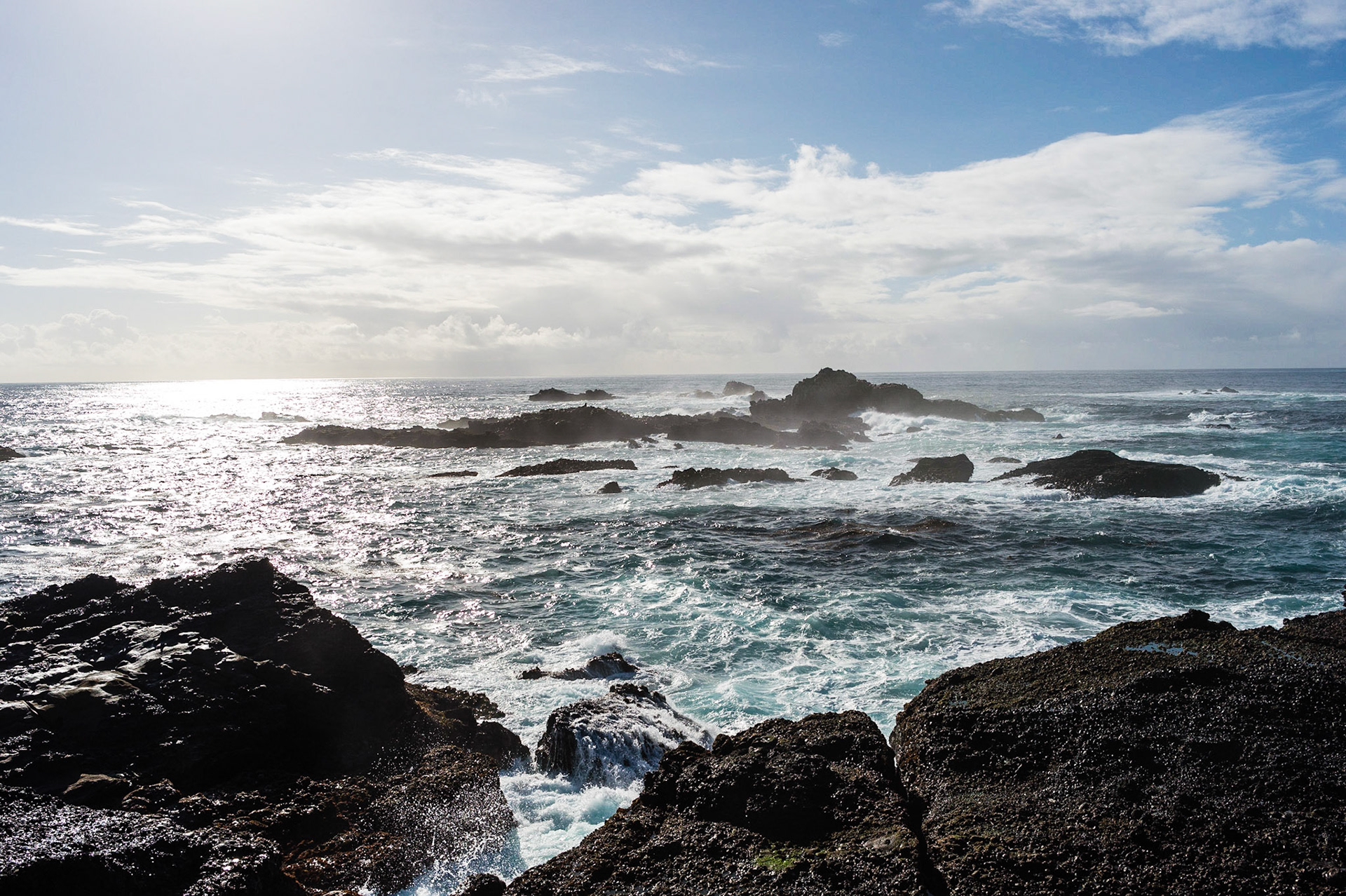 Point Lobos State Reserve, Carmel-by-the-Sea, Californie, USA.