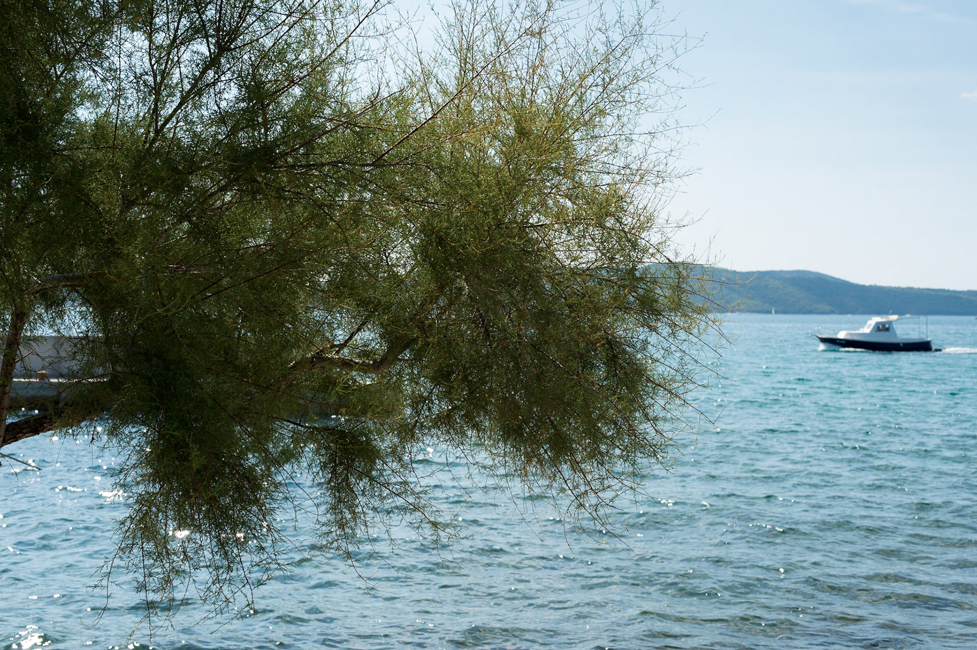 Brodarica, Dalmatie, Croatie. / Brodarica, Dalmatia, Croatia.