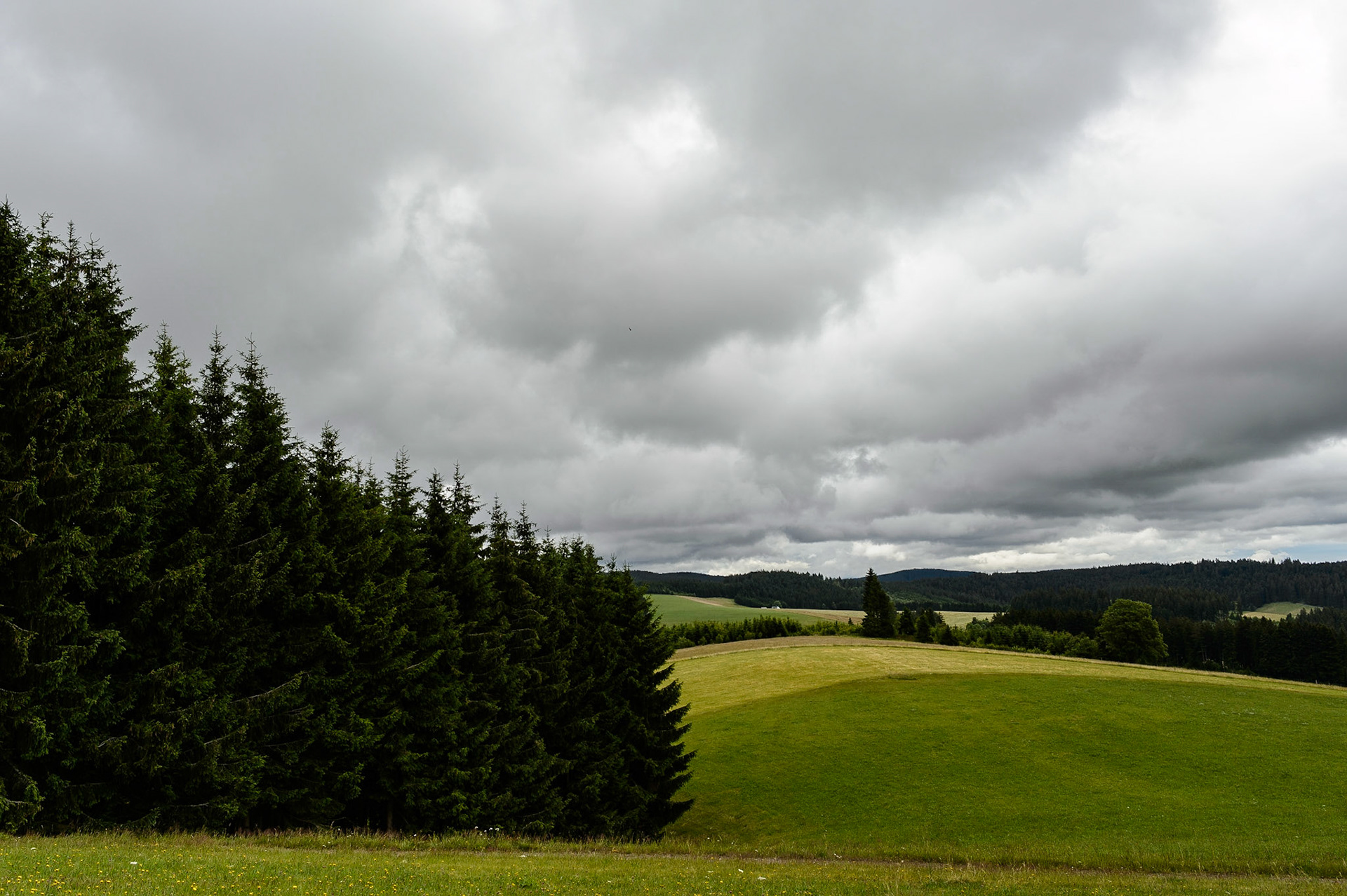Paysages de Forêt Noire , Allemagne. Landschaften Schwarzwald, Deutschland