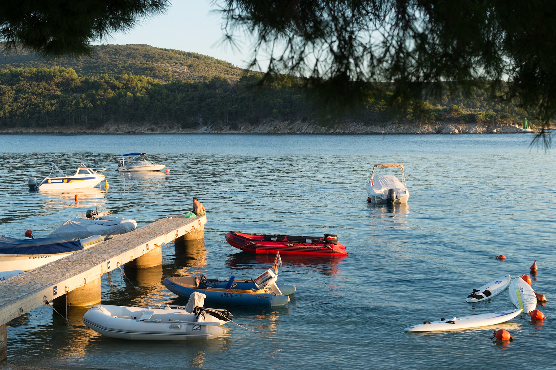 Ile de Cres, Croatie. / Island Cres, Croatia.