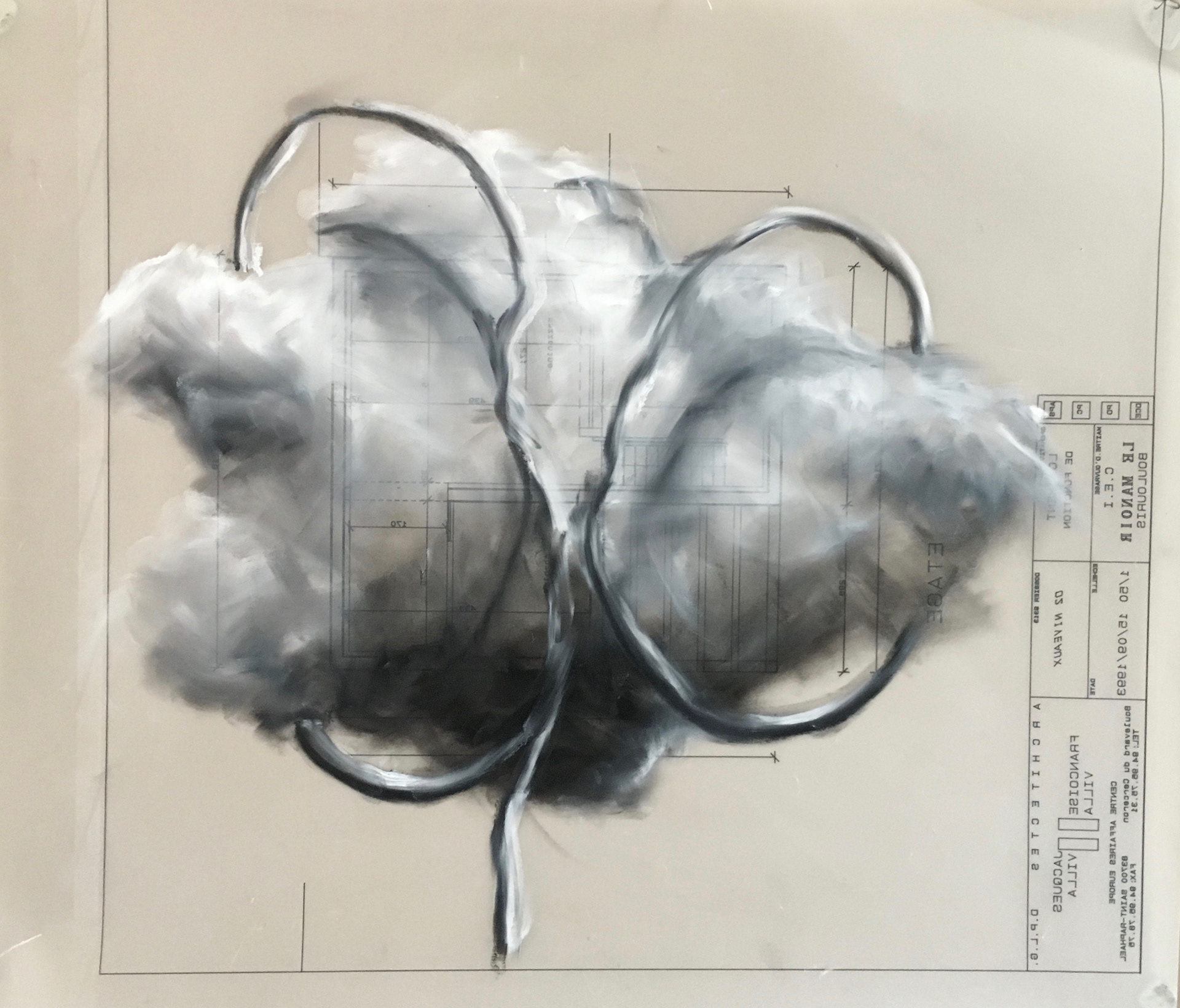 SC1. Technique à l'huile sur calque. F. Violante.